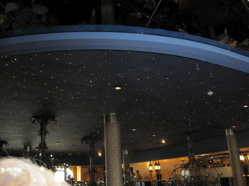 Night Sky ceiling in main dining room