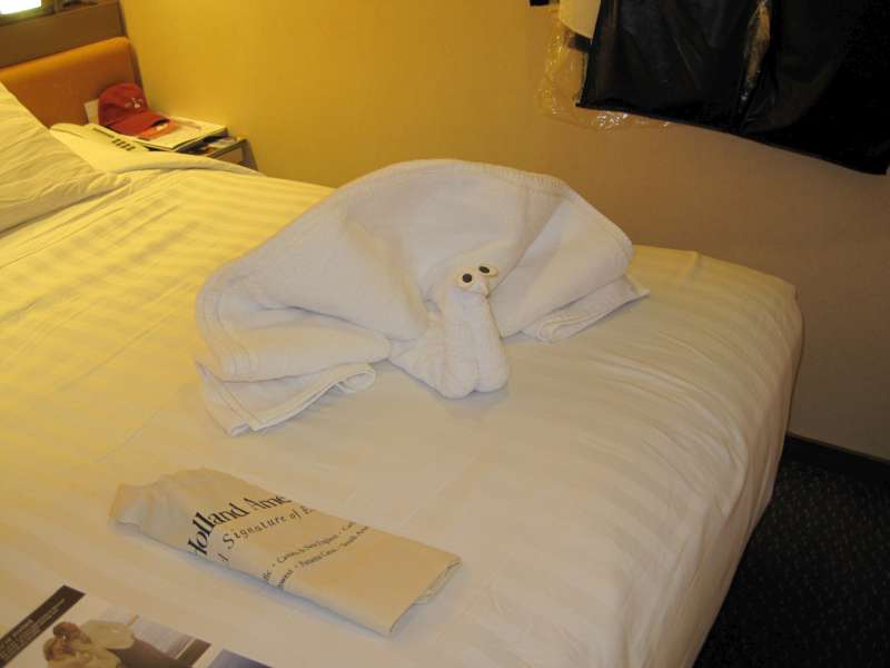 Nightly towel art