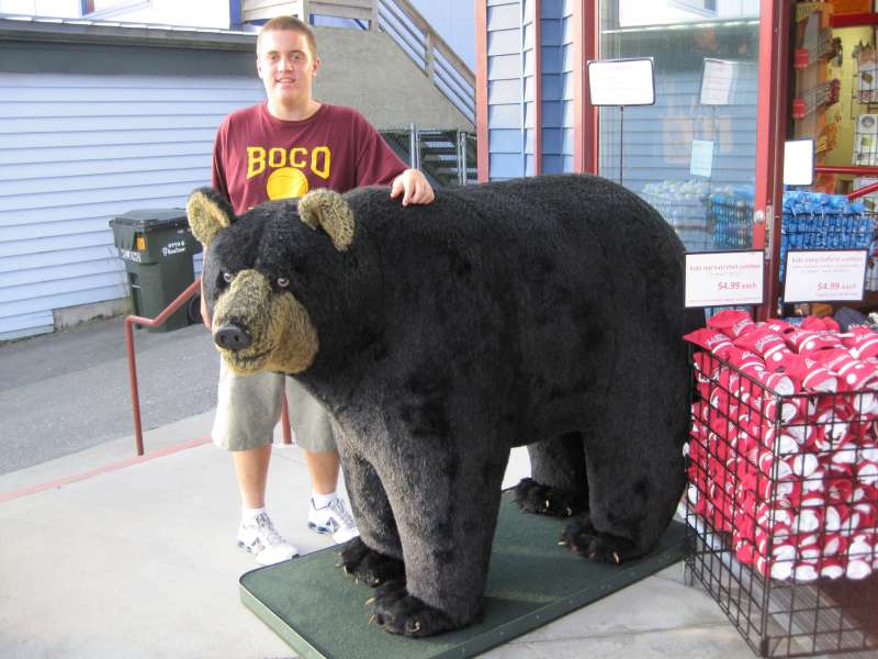 Nick likes bears also