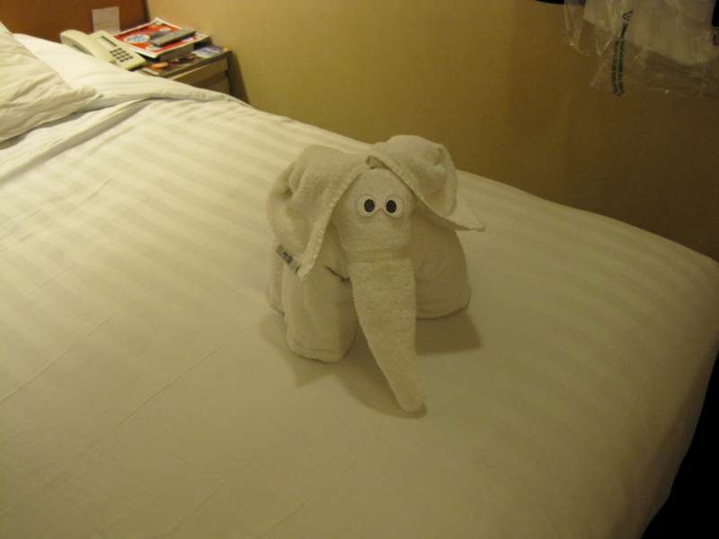 Elephant towel art