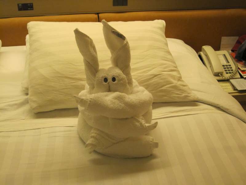 Bunny towel art