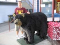 Nick likes bears also