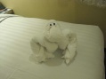 Gorilla towel art